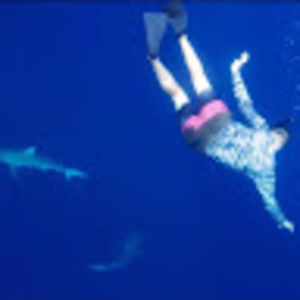 Meet your Posher, Josh